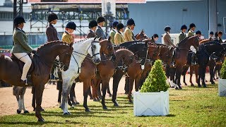 2024  Hawkesbury Summer Horse Show
